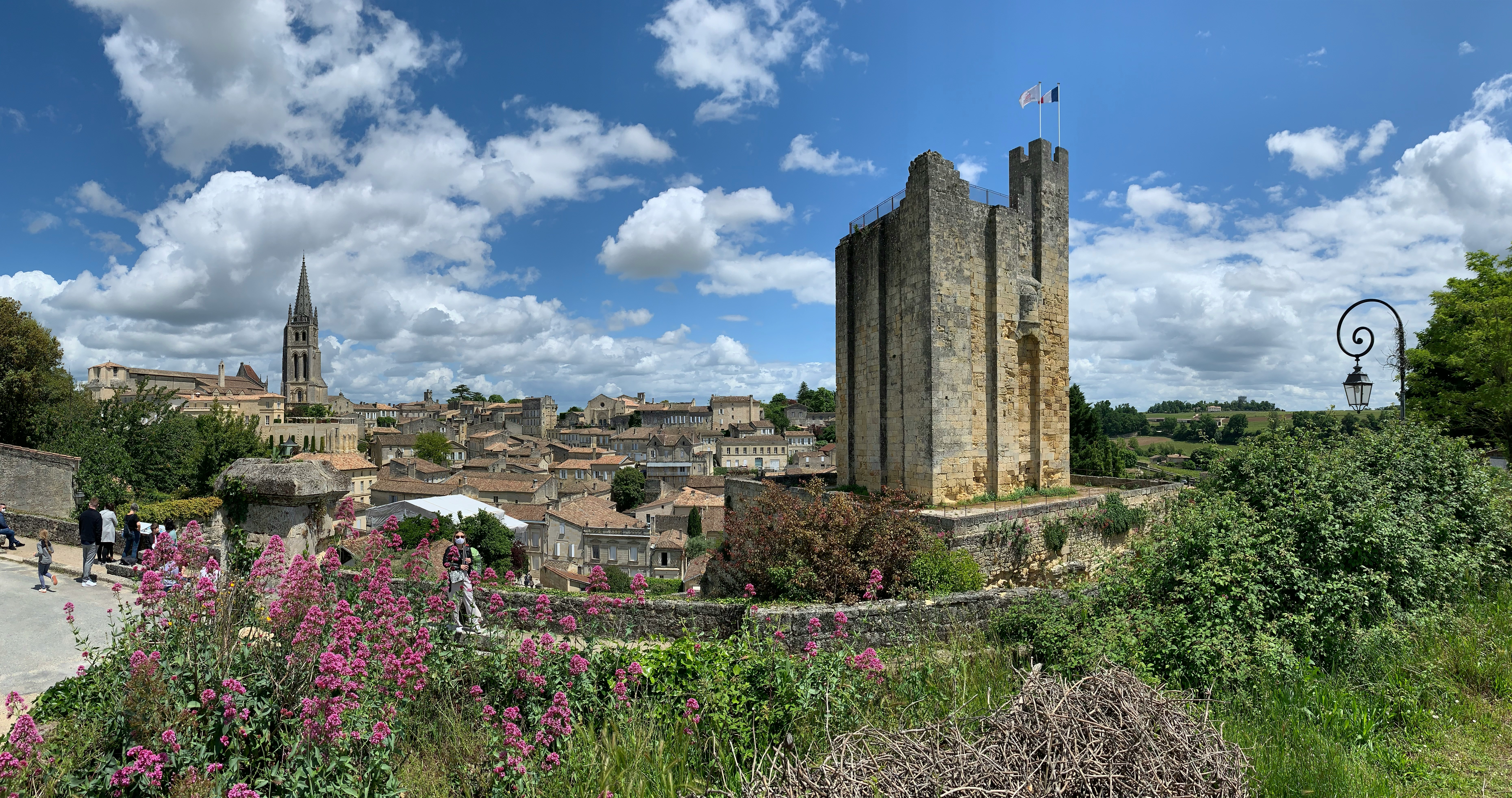 Vue panoramique de Saint-Émilion — vignobles bordelais